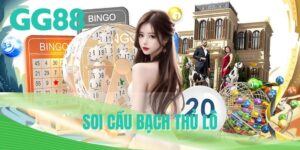 soi cầu bạch thủ lô